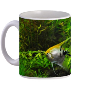 Mug Aquarium