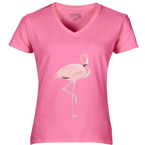 Kaos kaos