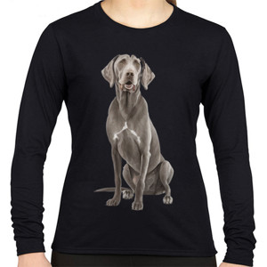 Kaos Kaos Gambar Anjing 444