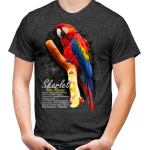 Kaos Makaw