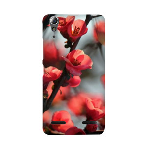 Red Cherry Casing HP