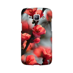 Red Cherry Casing HP