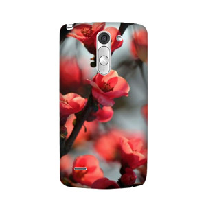 Red Cherry Casing HP