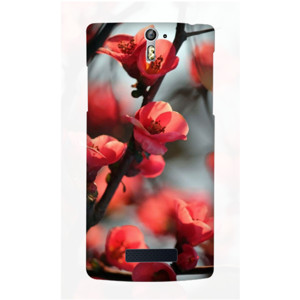 Red Cherry Casing HP