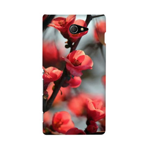 Red Cherry Casing HP