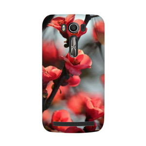 Red Cherry Casing HP