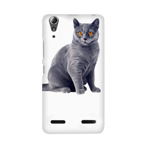 Kucing persia Casing HP