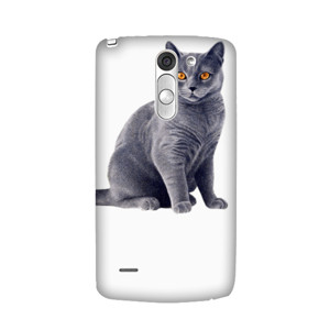 Kucing persia Casing HP