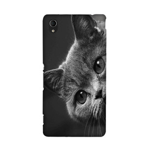 Softcase Oppo A3S  / A5 / RealMe C1 Casing HP