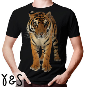 Kaos Harimau 
