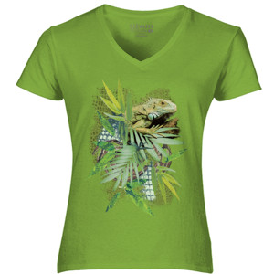 Kaos Iguana