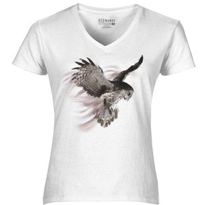 Kaos Night Owl
