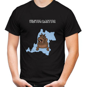 Kaos MODERATE BRANCH