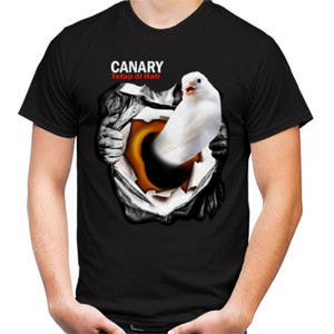 Kaos Burung Kenari