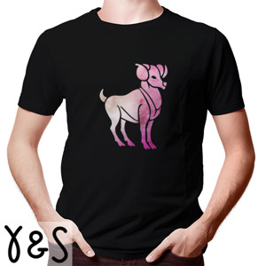 Kaos Aries T-Shirt