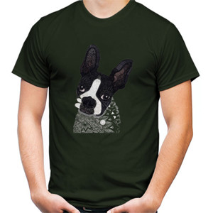 Kaos Boston Terrier