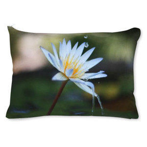 Bantal Beautiful Water Lily on Mini Pond