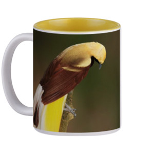 Mug Lesser Bird of Paradise