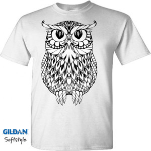 Kaos Owl bird