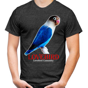 Kaos Lovebird