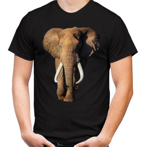 Kaos Gajah
