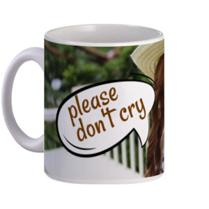 Mug Please Don't Cry