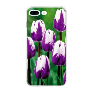 tulip Casing HP