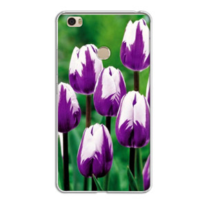 tulip Casing HP