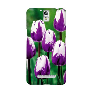 tulip Casing HP