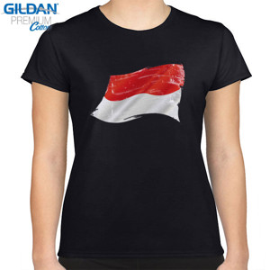 Kaos Kaos Indonesia Grunge Flags (SBCDH)