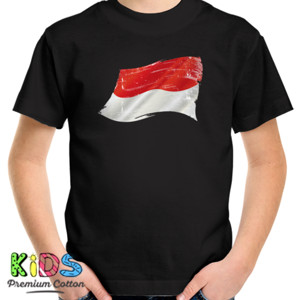 Kaos Kaos Indonesia Grunge Flags (SBCDH)