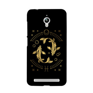 Golden Pisces Casing Casing HP