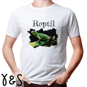 Kaos kaos reptil
