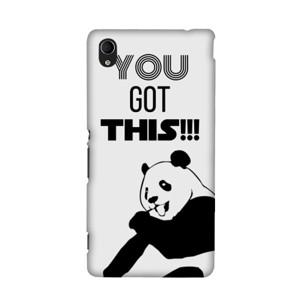 You Got This, Panda!!! Casing HP