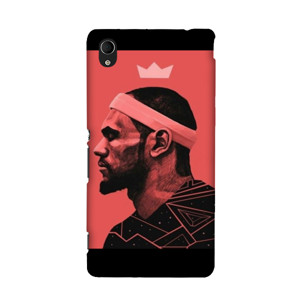 The King James Casing HP