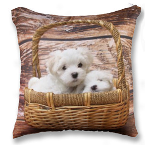 Bantal CUTE LITTLE PUPPIES