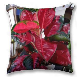 Bantal AGLAONEMA