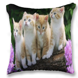 Bantal Sarung Bantal Sofa Kucing