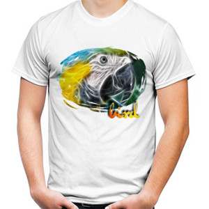 Kaos Bird
