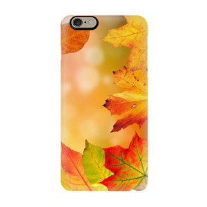 aksesoris hp Casing HP