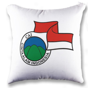 Bantal CAI