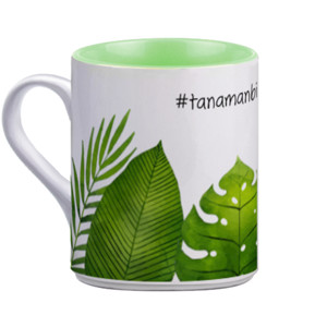 Mug tanaman bikin hepi monstera 01