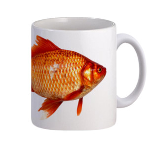 Mug mug ikan mas