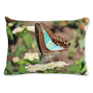 Bantal Blue-Brown Butterfly