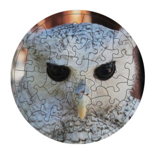 Puzzle White Owl