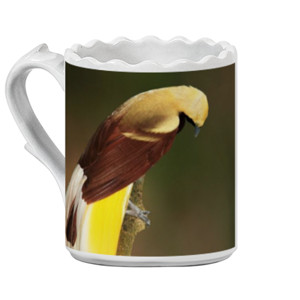 Mug Lesser Bird of Paradise