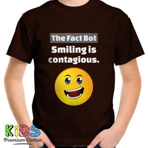Kaos The_Fact_Bot