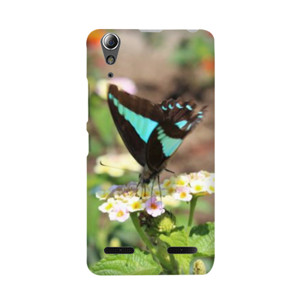 Blue-Brown Butterfly Casing HP
