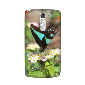 Blue-Brown Butterfly Casing HP