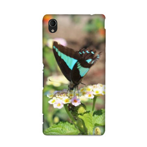 Blue-Brown Butterfly Casing HP